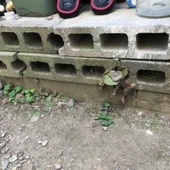 コンクリートブロック　決まりましたの画像