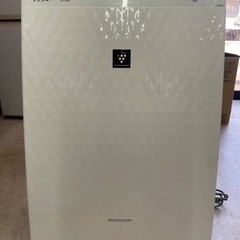 受け渡し決定しました。