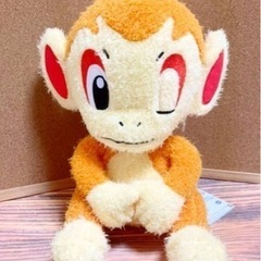 ヒコザルお譲りします。の画像