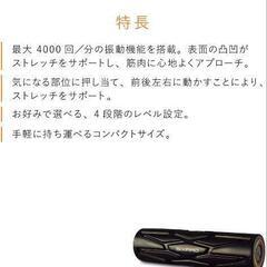 MTG SIXPAD シックスパッド パワーローラーエスの画像