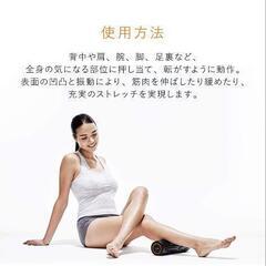 MTG SIXPAD シックスパッド パワーローラーエスの画像