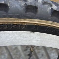 子供用自転車20インチ　ブリジストン青の画像