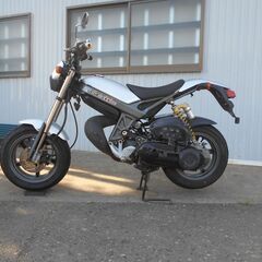 SUZUKI ストリートマジック50