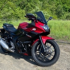 GSX250R  ローダウン仕様