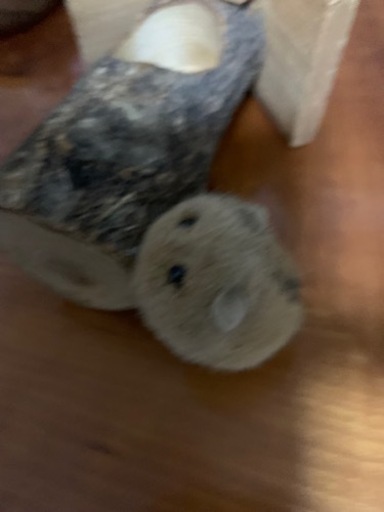 やまね