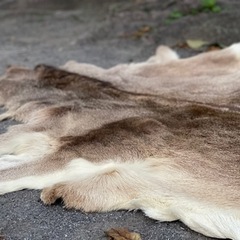 蝦夷鹿毛皮ラグ