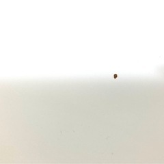 「取引決定」IKEA 昇降式デスク 昇降テーブル 手動　SKARSTA の画像