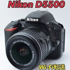 S数少○希少なグレー○初心者向け○Wi-Fi転送○ニコン D5300 1ヶ月動作