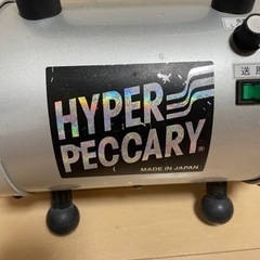 キンペックスのペッカリー