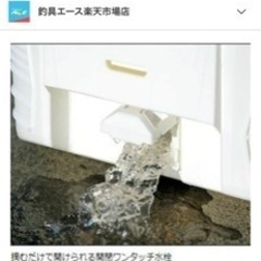 ダイワ48L クーラーボックス　タイラバセットの画像