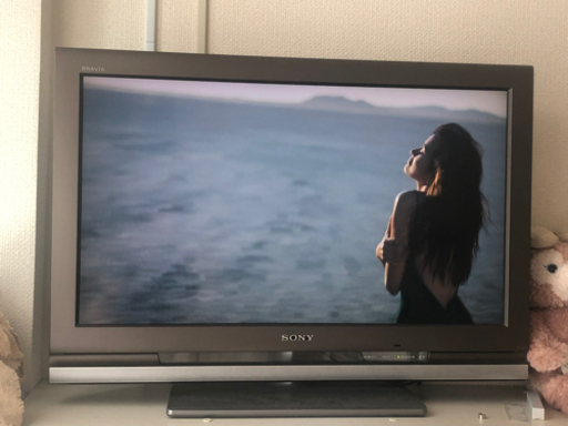 VIERA SONY テレビ