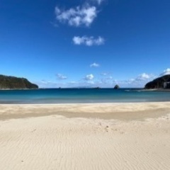 夏のキッチンスタッフ募集 皿洗い、配膳等の画像