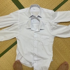 中学生ワイシャツ｜150cm