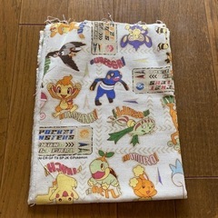 ポケットモンスターはぎれ