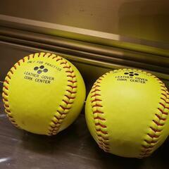 NAIGAI SOFTBALL ナイガイ ソフトボール

プラクティスボール イエロー 4球の画像