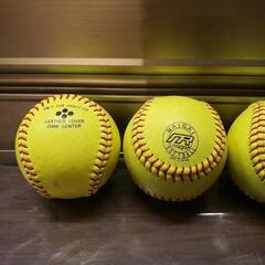 NAIGAI SOFTBALL ナイガイ ソフトボール

プラクティスボール イエロー 4球の画像