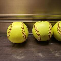NAIGAI SOFTBALL ナイガイ ソフトボール

プラクティスボール イエロー 4球の画像