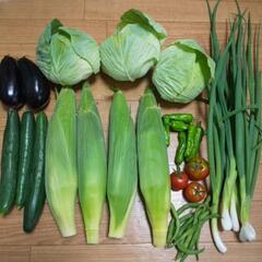 お野菜８点,