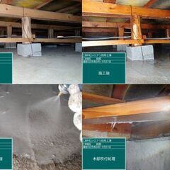 【愛知・浜松】シロアリ予防・駆除ならぜひMSKシロアリラボへ★年に一度の無料点検★施工報告書付き - 名古屋市
