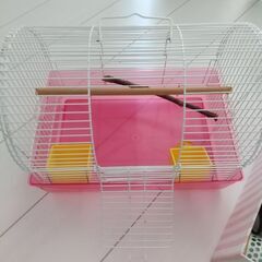 鳥かご 飼育セット