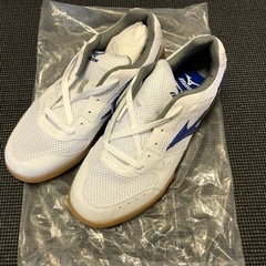 【新品・未使用】ミズノ　鹿児島情報高校　体育館シューズ　29㎝