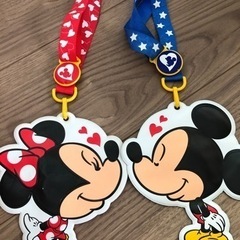 ディズニーチケット入れ