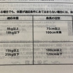 ★わんわんの車用おもちゃ、ひざ掛けお付けます！ホームクリーニング済み ジュニアシートの画像