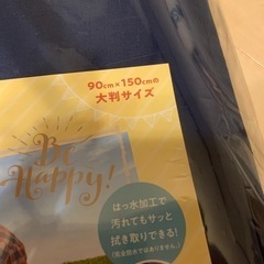 新品　はっ水　レジャーマット　厚手　ネイビー　キャンプの画像