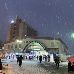 目白〜椎名町界隈でユルくお茶かランチでも
