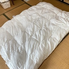 【決定しました】東京西川　デュエット羽毛掛け布団　2枚組み