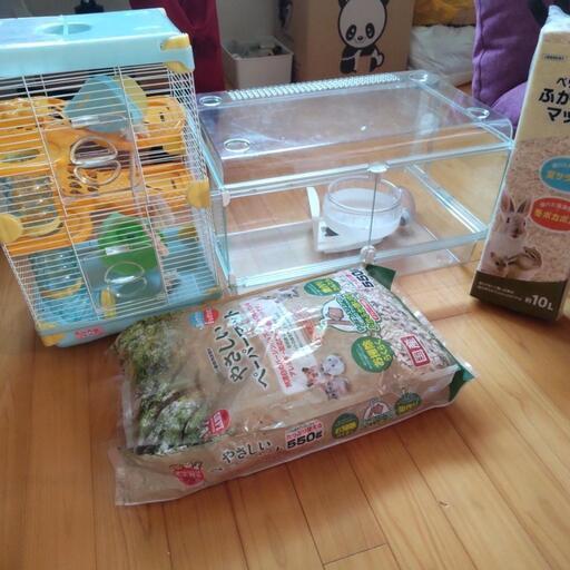 ★ハムスター教育セット！！！
