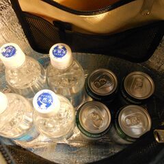 THE NORTH FACE 保冷バッグ クーラーバッグ エコバッグ トートバッグ ショルダーバッグ ファスナー付き ショッピングの画像