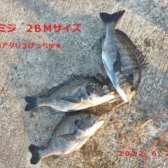 自作の黒鯛釣り用ルアー♪　ｇｒ8ミジの画像