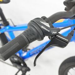 CANNONDALE 「キャノンデール」 KIDS QUICK 20 2019年モデル キッズバイク 子供自転車 3722062600002の画像