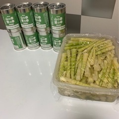 今年採った天然姫竹の水煮缶