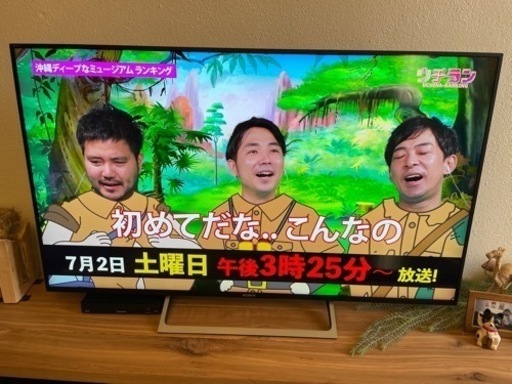 購入者確定。キャンセル待ち多数のため御連絡お控え下さい。
