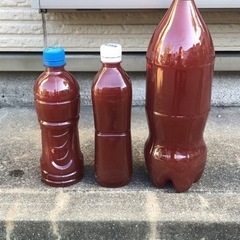 【光合成細菌PSB】500ml ¥300