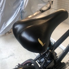 電動自転Panasonic VELO-STARの画像