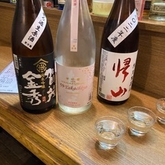 【7/2(土)】札幌の居酒屋で飲みに行きませんか？
