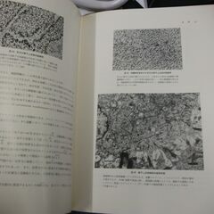 新　内科学大系　28A　呼吸器疾患　Ⅲa の画像