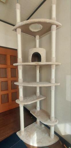 キャットタワー　新品同様