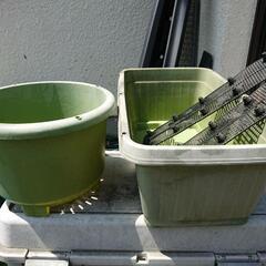 家庭菜園用の鉢植え