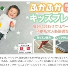 【色褪せあり】プレイマット フロアマット ジョイントマット クッションマットの画像