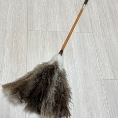 羽根ばたき オーストリッチ
