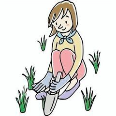 畑、庭の草抜き