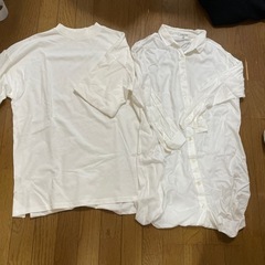 服　お皿その他の画像