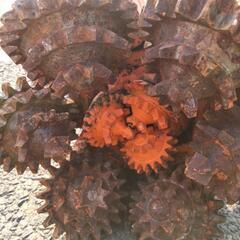 【値下げ】ドリルビット？の画像