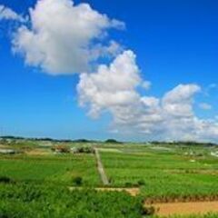 観光まちづくりを学びながら働きませんか？の画像