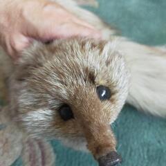 襟巻き　本物　キツネ？！　希少！の画像