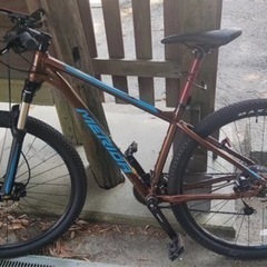 自転車